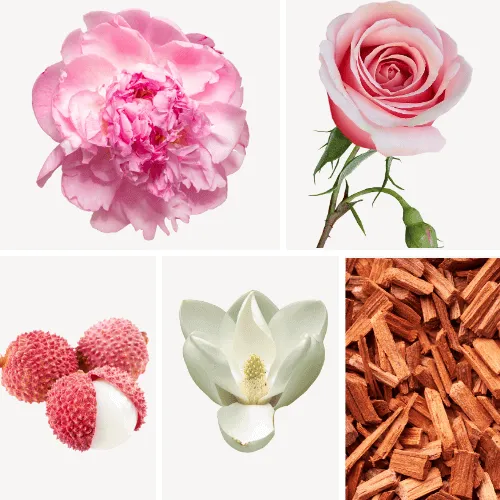 Duftnoten: Rose, Pfingsrose, Litschi, Magnolie, Zedernholz